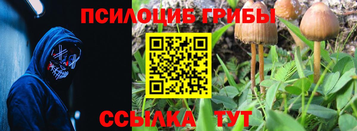 Галлюциногенные грибы Magic Shrooms  Вход с VPN  Гуково  Псилоцибиновые грибы Magic Shrooms 